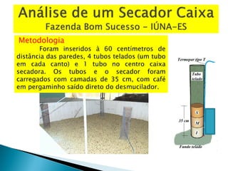 Metodologia
Foram inseridos à 60 centímetros de
distância das paredes, 4 tubos telados (um tubo
em cada canto) e 1 tubo no centro caixa
secadora. Os tubos e o secador foram
carregados com camadas de 35 cm, com café
em pergaminho saído direto do desmucilador.
 