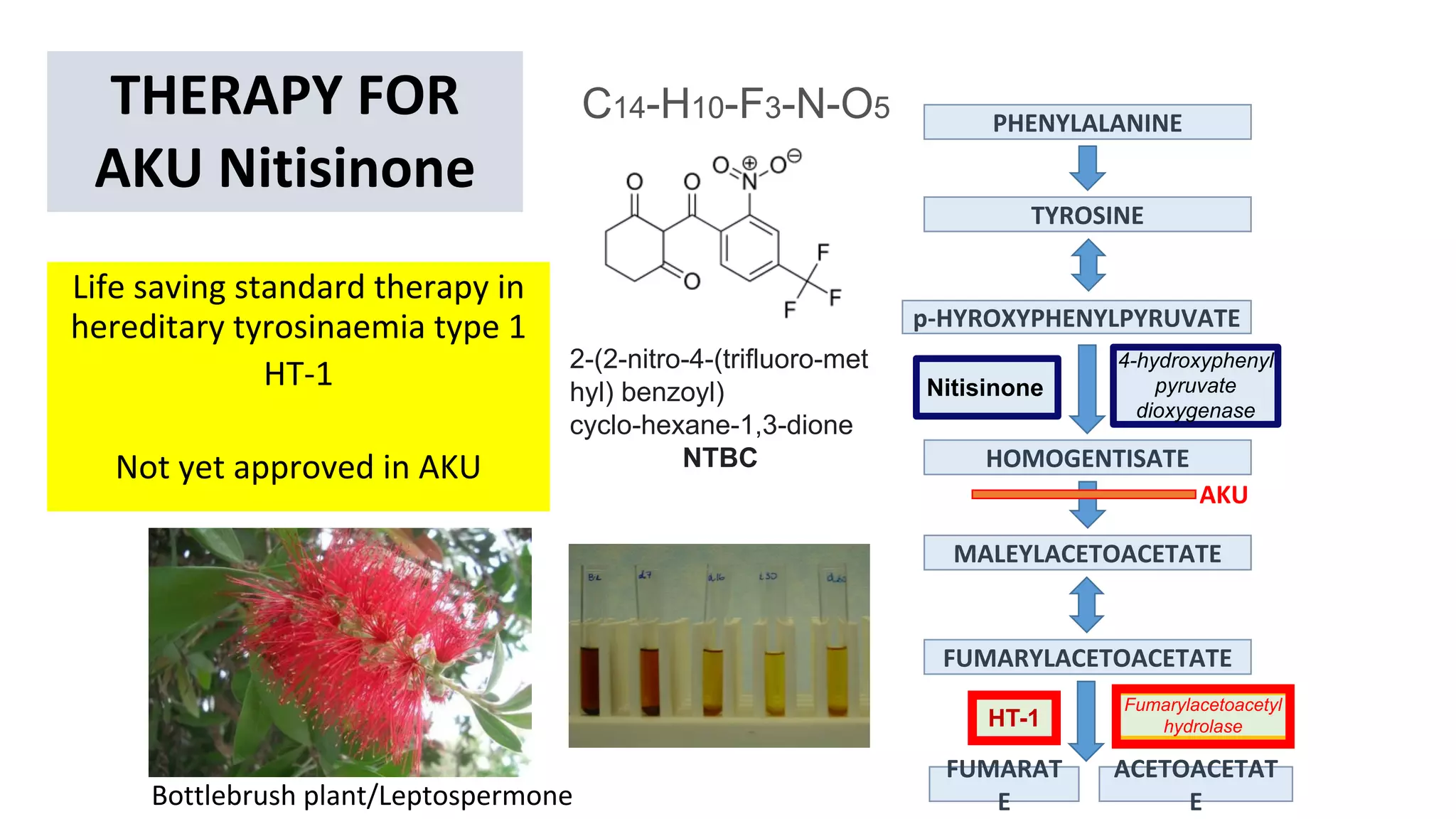 Professor Lakshminarayan Ranganath Wholegenome sequencing to unders…