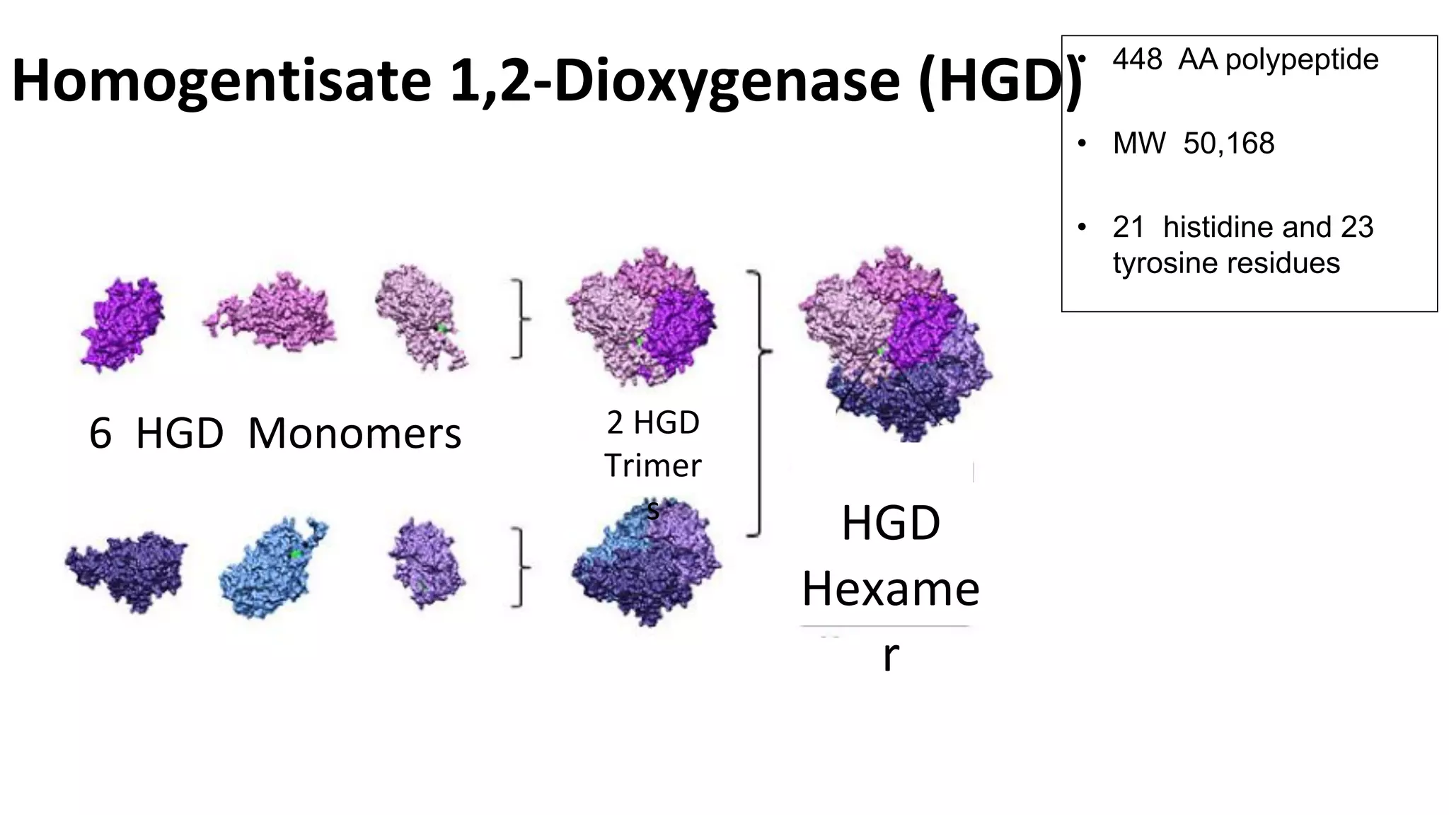 Professor Lakshminarayan Ranganath Wholegenome sequencing to unders…
