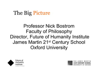 Professor Nick Bostrom Faculty of Philosophy  Director, Future of Humanity Institute James Martin 21 st  Century School Oxford University The Big  Picture   