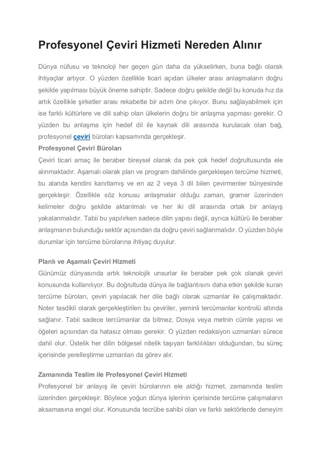 Profesyonel Ceviri