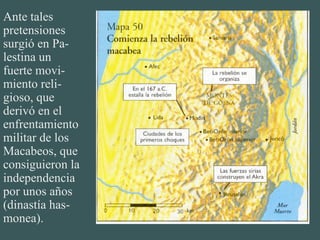 Ante tales pretensiones surgió en Pa-lestina un fuerte movi-miento reli-gioso, que derivó en el enfrentamiento militar de los Macabeos, que consiguieron la independencia por unos años (dinastía has-monea). 