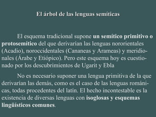 El árbol de las lenguas semíticas El esquema tradicional supone  un semítico primitivo o protosemítico  del que derivarían las lenguas nororientales (Acadio), noroccidentales (Cananeas y Arameas) y meridio-nales (Árabe y Etiópico). Pero este esquema hoy es cuestio-nado por los descubrimientos de Ugarit y Ebla No es necesario suponer una lengua primitiva de la que derivarían las demás, como es el caso de las lenguas románi-cas, todas procedentes del latín. El hecho incontestable es la existencia de diversas lenguas con  isoglosas y esquemas lingüísticos comunes . 