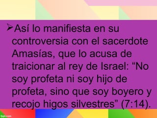 Así lo manifiesta en su
controversia con el sacerdote
Amasías, que lo acusa de
traicionar al rey de Israel: “No
soy profeta ni soy hijo de
profeta, sino que soy boyero y
recojo higos silvestres” (7:14).
 