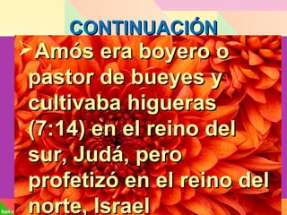 CONTINUACIÓNCONTINUACIÓN
Amós era boyero oAmós era boyero o
pastor de bueyes ypastor de bueyes y
cultivaba higuerascultivaba higueras
(7:14) en el reino del(7:14) en el reino del
sur, Judá, perosur, Judá, pero
profetizó en el reino delprofetizó en el reino del
norte, Israelnorte, Israel
 
