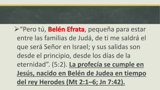 “Pero tú, Belén Efrata, pequeña para estar
entre las familias de Judá, de ti me saldrá el
que será Señor en Israel; y sus salidas son
desde el principio, desde los días de la
eternidad”. (5:2). La profecía se cumple en
Jesús, nacido en Belén de Judea en tiempo
del rey Herodes (Mt 2:1–6; Jn 7:42).
 