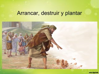 Arrancar, destruir y plantar
 