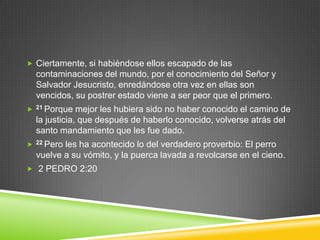  Ciertamente, si habiéndose ellos escapado de las
    contaminaciones del mundo, por el conocimiento del Señor y
    Salvador Jesucristo, enredándose otra vez en ellas son
    vencidos, su postrer estado viene a ser peor que el primero.
   21 Porque   mejor les hubiera sido no haber conocido el camino de
    la justicia, que después de haberlo conocido, volverse atrás del
    santo mandamiento que les fue dado.
   22 Peroles ha acontecido lo del verdadero proverbio: El perro
    vuelve a su vómito, y la puerca lavada a revolcarse en el cieno.
 2 PEDRO 2:20
 