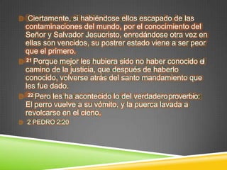 Ciertamente, si habiéndose ellos escapado de las
contaminaciones del mundo, por el conocimiento del
Señor y Salvador Jesucristo, enredándose otra vez en
ellas son vencidos, su postrer estado viene a ser peor
que el primero.
21 Porque mejor les hubiera sido no haber conocido el
camino de la justicia, que después de haberlo
conocido, volverse atrás del santo mandamiento que
les fue dado.
22 Pero les ha acontecido lo del verdaderoproverbio:
El perro vuelve a su vómito, y la puerca lavada a
revolcarse en el cieno.
2 PEDRO 2:20
 