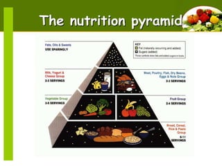 The nutrition pyramid

 