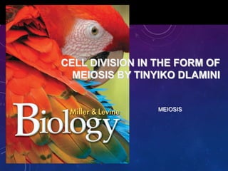 CELL DIVISION IN THE FORM OF
MEIOSIS BY TINYIKO DLAMINI

MEIOSIS

 