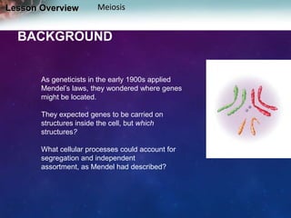 Lesson Overview

Meiosis

BACKGROUND

As geneticists in the early 1900s applied
Mendel’s laws, they wondered where genes
might be located.
They expected genes to be carried on
structures inside the cell, but which
structures?

What cellular processes could account for
segregation and independent
assortment, as Mendel had described?

 