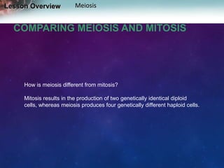 Lesson Overview

Meiosis

COMPARING MEIOSIS AND MITOSIS

How is meiosis different from mitosis?
Mitosis results in the production of two genetically identical diploid
cells, whereas meiosis produces four genetically different haploid cells.

 