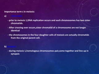 Importance term s in meiosis:
a)

Chromatid
- prior to meiosis 1,DNA replication occurs and each chromosomes has two sister
chromatids.
- After crossing over occurs,sister chromatid of a chromosome are not longer
identical
- the chromosomes in the four daughter cells of meiosis are actually chromatids
from the original parent cell.

b) Synapsis
- during meiosis 1,homologous chromosomes pair,come together and line up in
synapsis

 