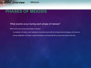 Lesson Overview

Meiosis

PHASES OF MEIOSIS
What events occur during each phase of meiosis?
What events occur during each phase of meiosis?
In prophase I of meiosis, each replicated chromosome pairs with its corresponding homologous chromosome.
During metaphase I of meiosis, paired homologous chromosomes line up across the center of the cell.

 
