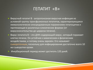 ГЕПАТИТ «В» 
 Вирусный гепатит В - антропонозная вирусная инфекция из 
условной группы трансфузионных гепатитов, характеризующаяся 
иммунологически опосредованным поражением гепатоцитов и 
протекающая в различных клинических формах (от 
вирусоносительства до цирроза печени). 
 Вирус гепатита В – это ДНК-содержащий вирус, который поражает 
клетки печени. Он устойчив к химическим и физическим 
воздействиям, и потому очень заразен. Его называют 
сывороточным, поскольку для инфицирования достаточно всего 10 
мл сыворотки крови. 
 Инкубационный период может достигать 120 дней. 
 
