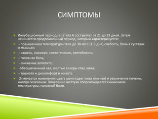 СИМПТОМЫ 
 Инкубационный период гепатита А составляет от 21 до 28 дней. Затем 
начинается продромальный период, который характеризуется: 
 - повышением температуры тела до 38-40 C (1-3 дня),слабость, боль в суставах 
и мышцах; 
 - кашель, насморк, слезотечение, светобоязнь; 
 - головная боль; 
 - снижение аппетита; 
 -обесцвеченный кал, желтые склеры глаз, кожа; 
 - тошнота и дискомфорт в животе. 
 Отмечается изменения цвета мочи (цвет пива или чая) и увеличение печени, 
иногда селезенки. Появление желтухи сопровождается снижением 
температуры, головной боли. 
 