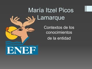 María Itzel Picos 
Lamarque 
Contextos de los 
conocimientos 
de la entidad 
 