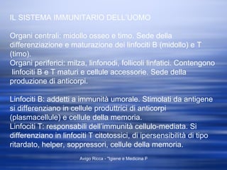 IL SISTEMA IMMUNITARIO DELL’UOMO Organi centrali: midollo osseo e timo. Sede della  differenziazione e maturazione dei linfociti B (midollo) e T (timo). Organi periferici: milza, linfonodi, follicoli linfatici. Contengono  linfociti B e T maturi e cellule accessorie. Sede della produzione di anticorpi. Linfociti B: addetti a immunità umorale. Stimolati da antigene si differenziano in cellule produttrici di anticorpi (plasmacellule) e cellule della memoria. Linfociti T: responsabili dell’immunità cellulo-mediata. Si differenziano in linfociti T citotossici, di ipersensibilità di tipo ritardato, helper, soppressori, cellule della memoria. 