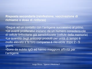 Risposta secondaria (reinfezione, vaccinazione di richiamo o dose di rinforzo) Segue ad un contatto con l’antigene successivo al primo. Gli eventi proliferativi iniziano da un numero considerevole di cellule linfocitarie già sensibilizzate (cellule della memoria) La quantità degli anticorpi prodotti per unità di tempo è molto elevata e la loro comparsa è rilevabile dopo 2 - 5 giorni. Sono da subito IgG ed hanno maggiore affinità per l’antigene. 
