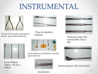 INSTRUMENTAL
bisturis (plantar-222, dorsal-463).
Nucleares: largo-214,
estreito-209 e micro-
208.
Alicates de inox para eponíquio e
alicates para unhas (lâminas).
Lixas (plantar e de lâmina) e mandril
(pelo menos 4).
enucleadora
Pinça de algodão e
espátula.
brocas 082pm,
744pm, 714 pm e
003pm.
 