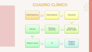 Fiebre/hipotermia Hiperventilación Taquicardia
Retraso de
llenado capilar
Petequias,
equimosis
Cianosis
Oliguria o anuria IC
Gangrena
periférica
simétrica
CUADRO CLÍNICO
 