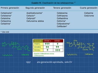 1997   4ta generación aprobada, solo EV
 