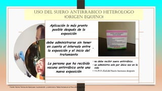 Aplicación lo más pronto
posible después de la
exposición
debe administrarse sin tener
en cuenta el intervalo entre
la exposición y el inicio del
tratamiento
La persona que ha recibido
vacuna antirrábica ante una
nueva exposición
• .
• no debe recibir suero antirrábico.
• se administra solo por única vez en la
vida
• <1-3%% Enf.del Suero 1semana después
USO DEL SUERO ANTIRRABICO HETEROLOGO
(ORIGEN EQUINO)
Fuente :Norma Técnica de Salud para la prevención y control de la Rabia Humana en el Perú-2008-pag.20-21
 