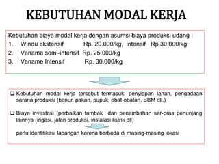 KEBUTUHAN MODAL KERJA
Kebutuhan biaya modal kerja dengan asumsi biaya produksi udang :
1. Windu ekstensif Rp. 20.000/kg, intensif Rp.30.000/kg
2. Vaname semi-intensif Rp. 25.000/kg
3. Vaname Intensif Rp. 30.000/kg
 Kebutuhan modal kerja tersebut termasuk: penyiapan lahan, pengadaan
sarana produksi (benur, pakan, pupuk, obat-obatan, BBM dll.)
 Biaya investasi (perbaikan tambak dan penambahan sar-pras penunjang
lainnya (irigasi, jalan produksi, instalasi listrik dll)
perlu identifikasi lapangan karena berbeda di masing-masing lokasi
 