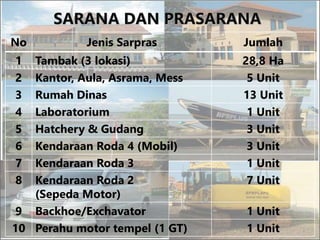 SARANA DAN PRASARANA
No Jenis Sarpras Jumlah
1 Tambak (3 lokasi) 28,8 Ha
2 Kantor, Aula, Asrama, Mess 5 Unit
3 Rumah Dinas 13 Unit
4 Laboratorium 1 Unit
5 Hatchery & Gudang 3 Unit
6 Kendaraan Roda 4 (Mobil) 3 Unit
7 Kendaraan Roda 3 1 Unit
8 Kendaraan Roda 2
(Sepeda Motor)
7 Unit
9 Backhoe/Exchavator 1 Unit
10 Perahu motor tempel (1 GT) 1 Unit
 