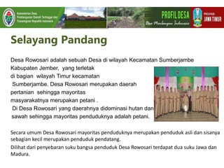 Selayang Pandang
Desa Rowosari adalah sebuah Desa di wilayah Kecamatan Sumberjambe
Kabupaten Jember, yang terletak
di bagian wilayah Timur kecamatan
Sumberjambe. Desa Rowosari merupakan daerah
pertanian sehingga mayoritas
masyarakatnya merupakan petani .
Di Desa Rowosari yang daerahnya didominasi hutan dan
sawah sehingga mayoritas penduduknya adalah petani.
Secara umum Desa Rowosari mayoritas penduduknya merupakan penduduk asli dan sisanya
sebagian kecil merupakan penduduk pendatang.
Dilihat dari penyebaran suku bangsa penduduk Desa Rowosari terdapat dua suku Jawa dan
Madura.
 