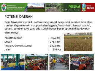 POTENSI DAERAH
Desa Rowosari memiliki potensi yang sangat besar, baik sumber daya alam,
sumber daya manusia maupun kelembagaan / organisasi. Sampai saat ini,
potensi sumber daya yang ada sudah benar-benar optimal diberdayakan
diantaranya:
Perkampungan : 49,0 Ha
Sawah : 271,4 Ha
Tegalan, Gumuk, Sungai : 340,0 Ha
Jalan : 5,6 Ha
 