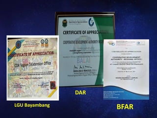 DAR
LGU Bayambang BFAR
 