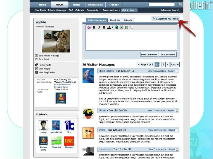 vbulletin-forum-software-profile-customization-2-728.jpg