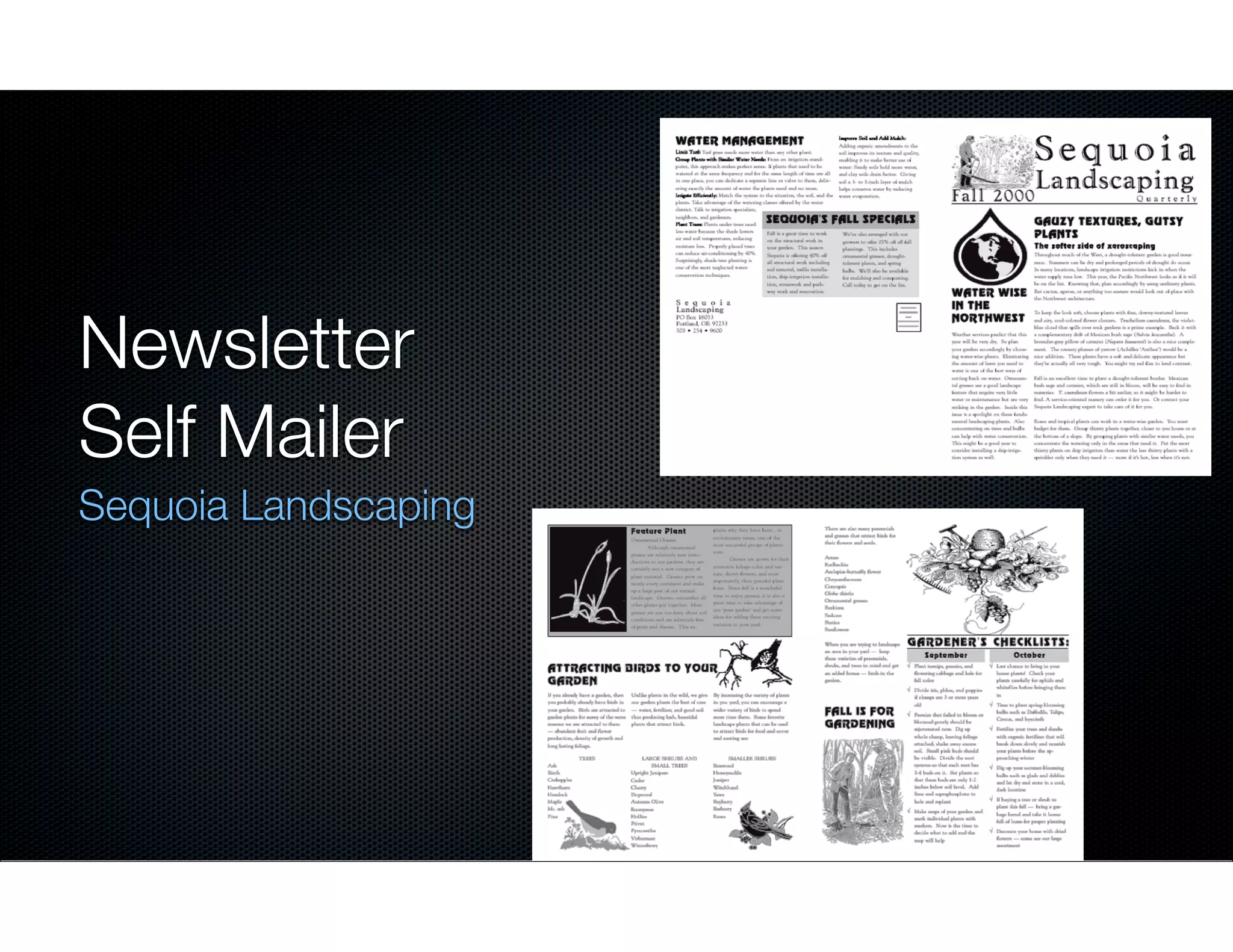 Newsletter
Self Mailer
Sequoia Landscaping

 