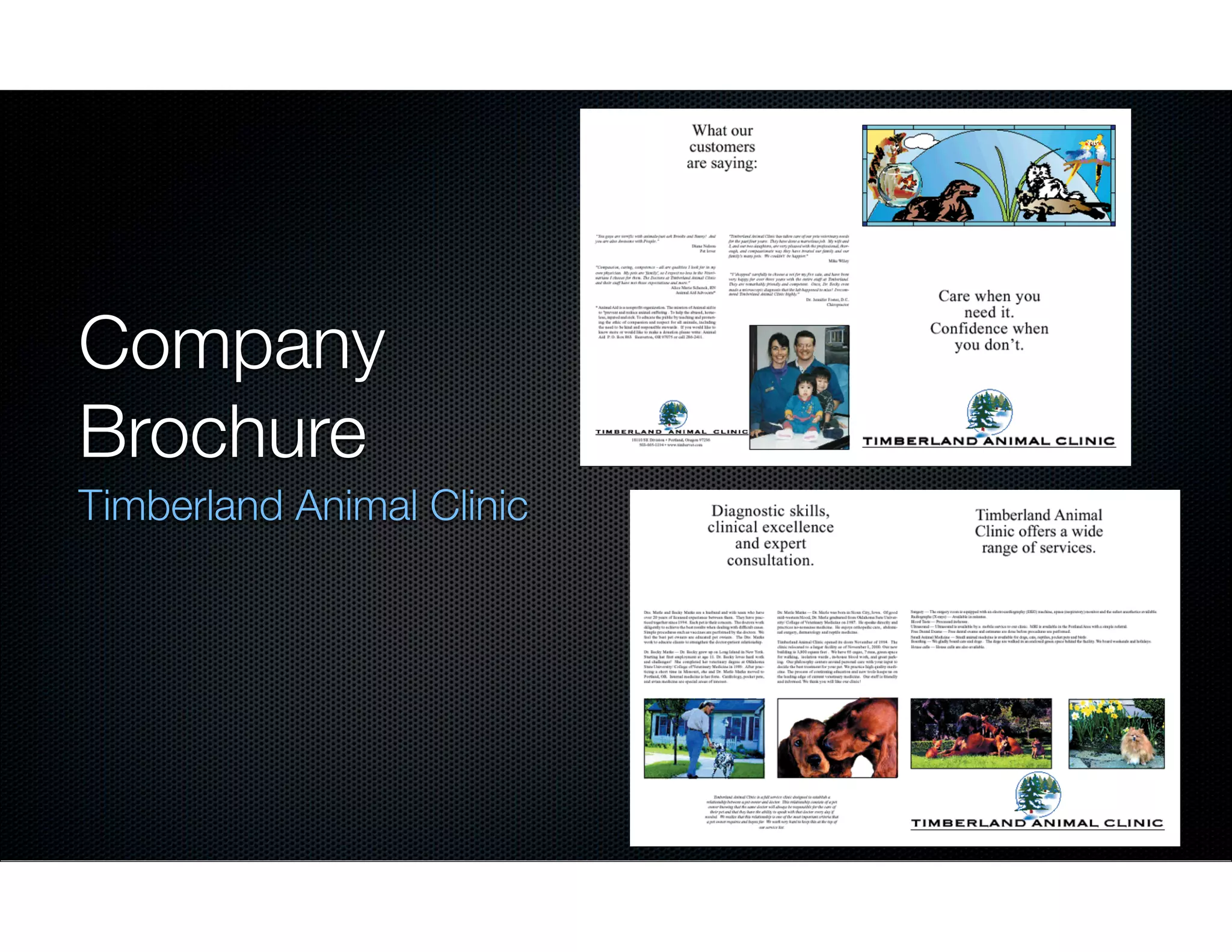 Company
Brochure
Timberland Animal Clinic

 