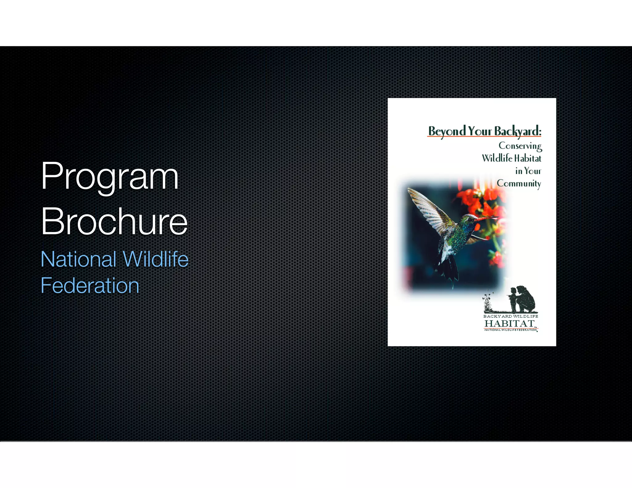 Program
Brochure
National Wildlife
Federation

 