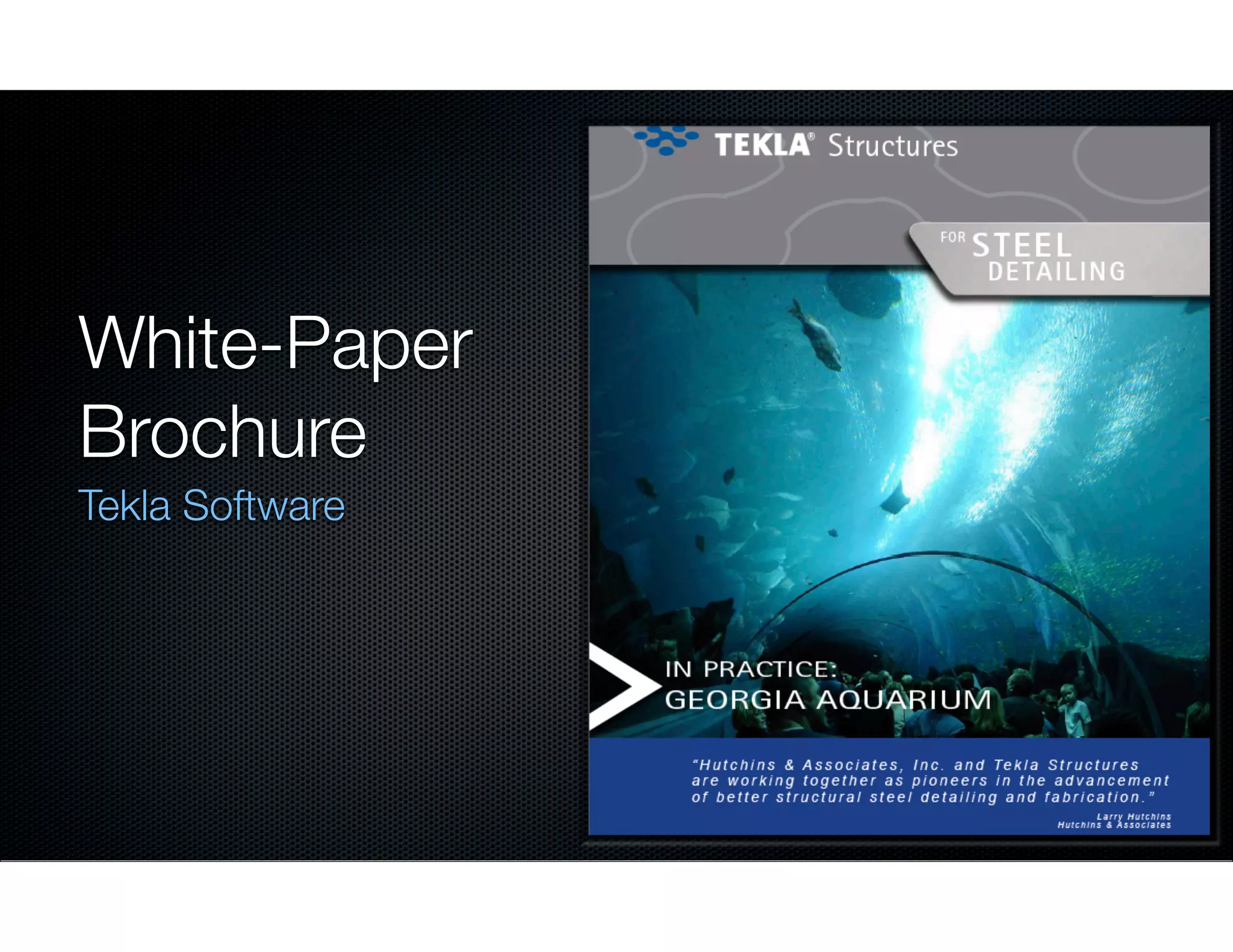 White-Paper
Brochure
Tekla Software

 