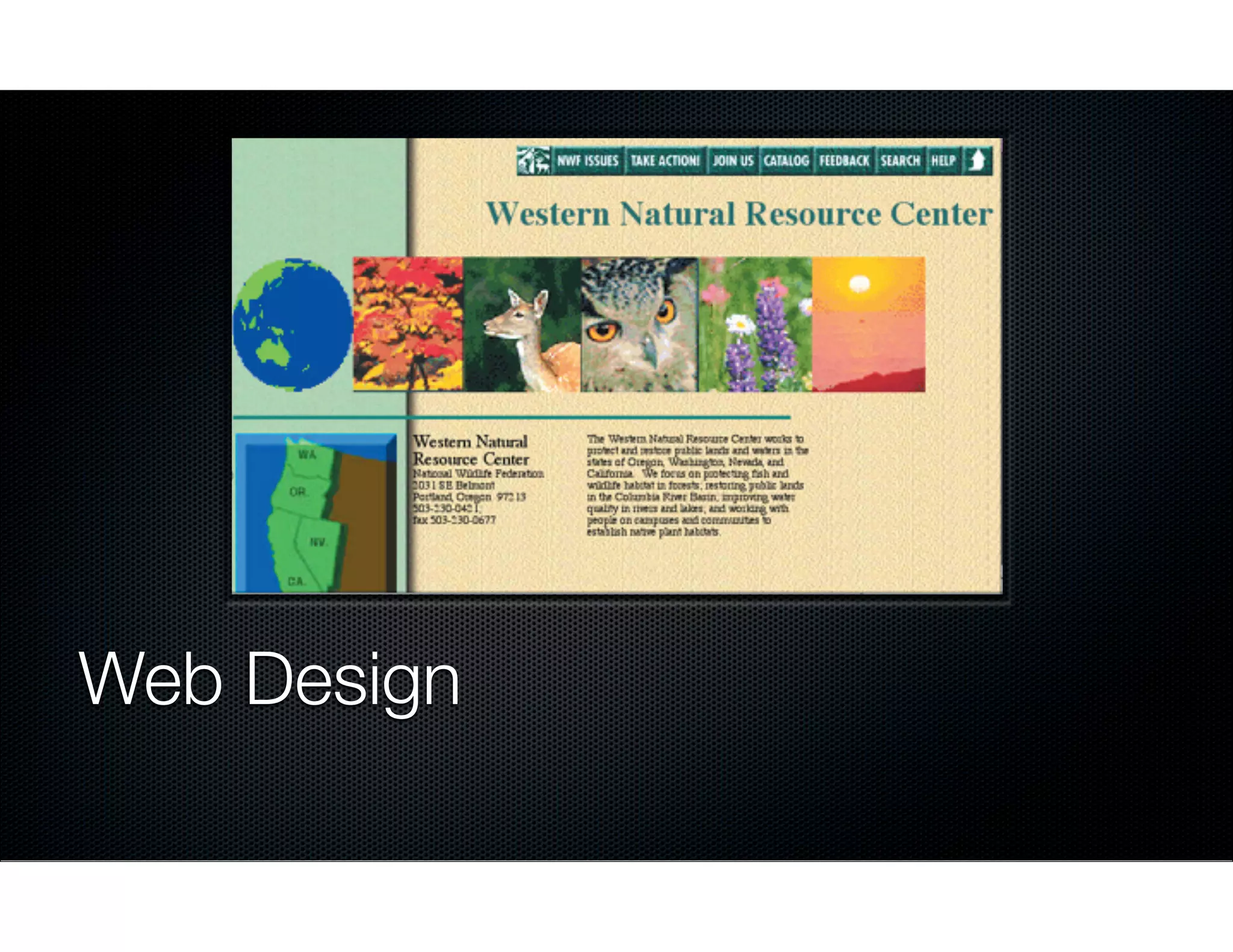 Web Design

 