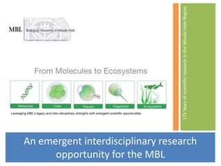 175YearsofscientificresearchintheWoodsHoleRegion
An emergent interdisciplinary research
opportunity for the MBL
 