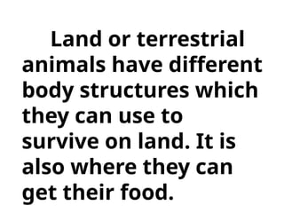 Land or terrestrial
animals have different
body structures which
they can use to
survive on land. It is
also where they can
get their food.
 