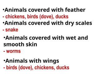 •Animals covered with feather
- chickens, birds (dove), ducks
•Animals covered with dry scales
- snake
•Animals covered with wet and
smooth skin
- worms
•Animals with wings
- birds (dove), chickens, ducks
 