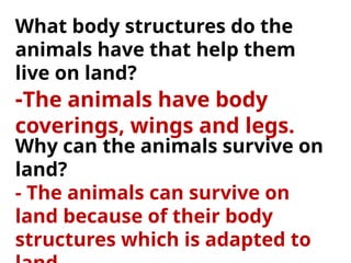 Why can the animals survive on
land?
- The animals can survive on
land because of their body
structures which is adapted to
What body structures do the
animals have that help them
live on land?
-The animals have body
coverings, wings and legs.
 