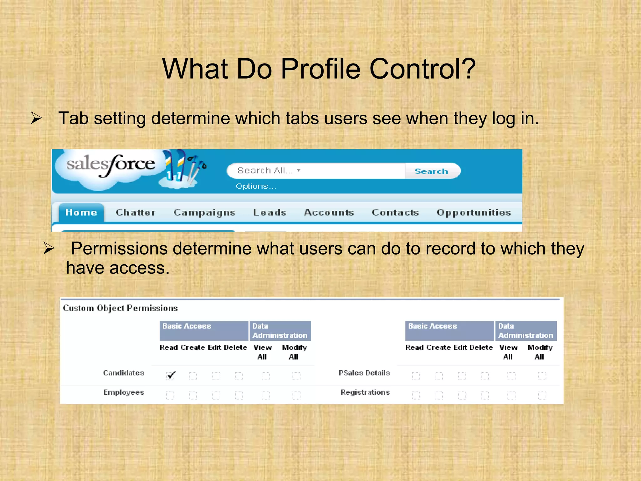 What Do Profile Control?
 Tab setting determine which tabs users see when they log in.
 Permissions determine what users can do to record to which they
have access.
 