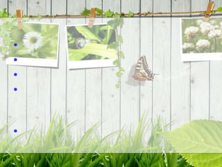 •
•
•
•


•
 