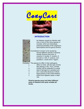 CoxyCareCoxyCare
INTRODUCTIONINTRODUCTION
Coccidiosi
s
i
s
a
n
a
v
ian disease caused by infection with
one or more of the many species of
coccidia, which are intracellular
protozoal parasites of the subphylum
Apicomplexa and the genus Eimeria.
Cocciodiosis is known to be caused by
several different species of Eimeria,
namely Eimeria acervulina, E.
maxima, E. tenella, E. necatrix, E.
brunetti, E. mitis, E. praecox, and
possibly E. mivati and E. hagani.
The species do differ in their pathogenic
effect on birds, with the type of birds
also playing a role. Thus, a broiler
chicken will be subjected to a great
deal of damage by a parasite such
as E. acervulina because it infects
large portions of the small intestine,
where food digestion plays a major
role.
Eimeria species grow and infect different
parts of intestine with quite variable pH
levels.
 
