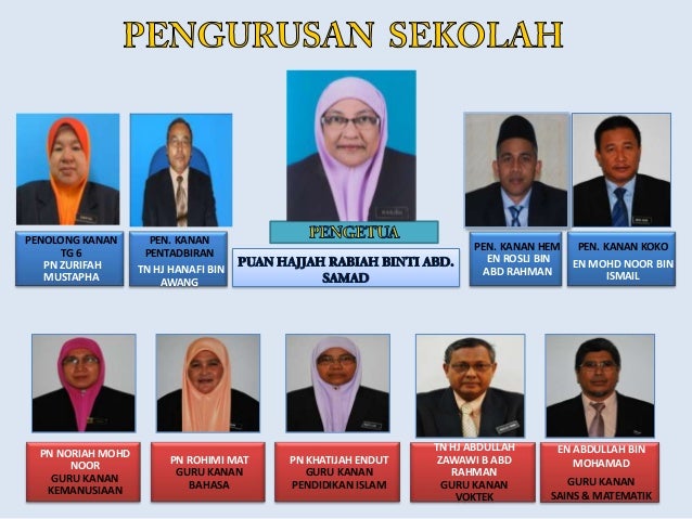 Profile Shams 2013