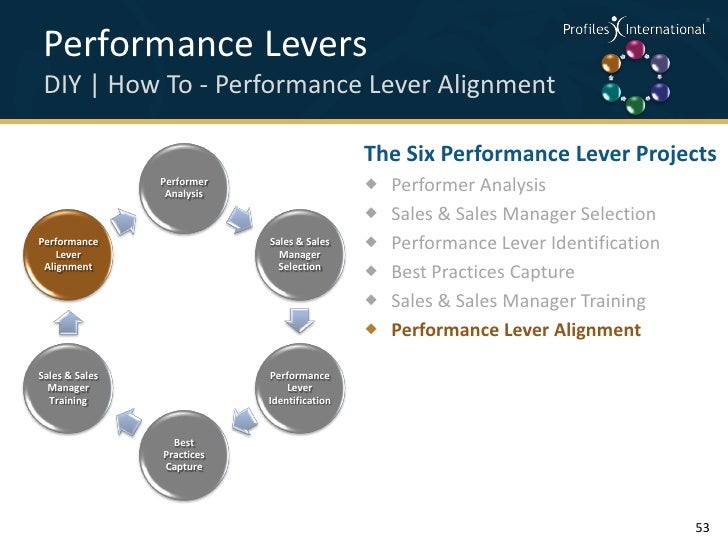 Aligning Sales Performance Levers Profiles Intl Version 091611