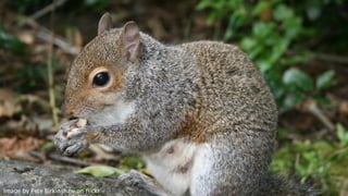 Image by Pete Birkinshaw on flickr

 