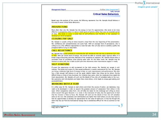 Profiles Sales Assessment   34
 